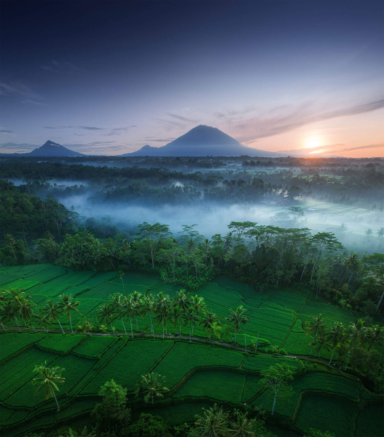 Aleksei Boiko's Photos Of Indonesian Rice Fields And Terraces (17)