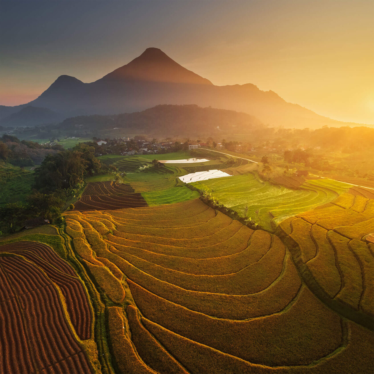 Aleksei Boiko's Photos Of Indonesian Rice Fields And Terraces (2)