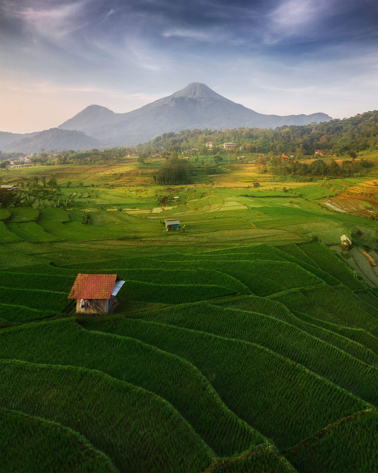 Aleksei Boiko's Photos Of Indonesian Rice Fields And Terraces (7)