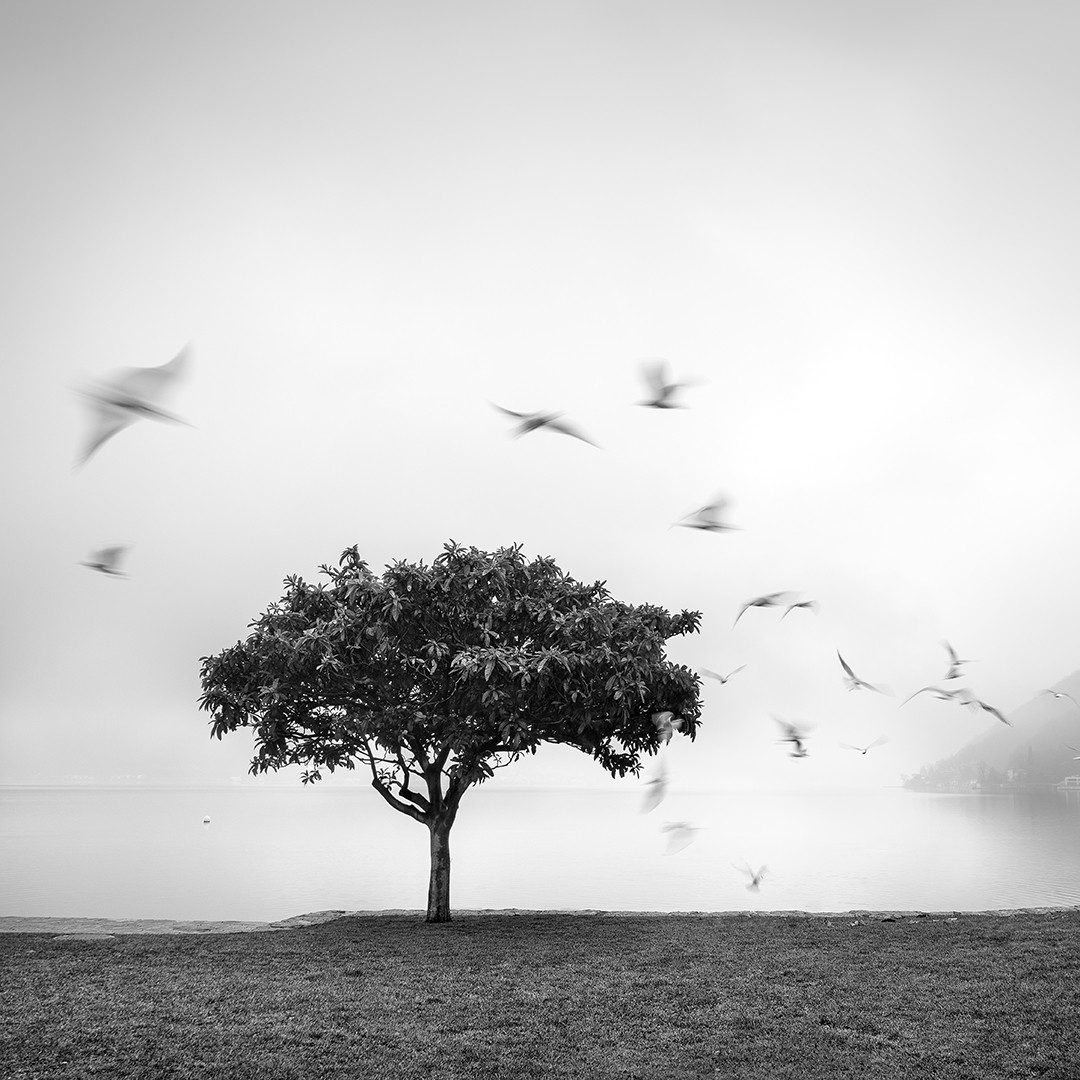 Black And White Landscape Photography By Alberto Bresciani (13)