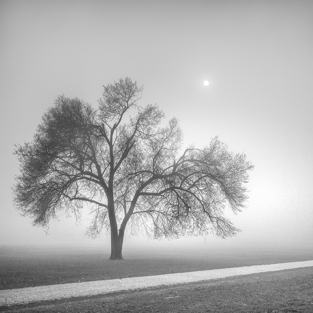 Black And White Landscape Photography By Alberto Bresciani (19)