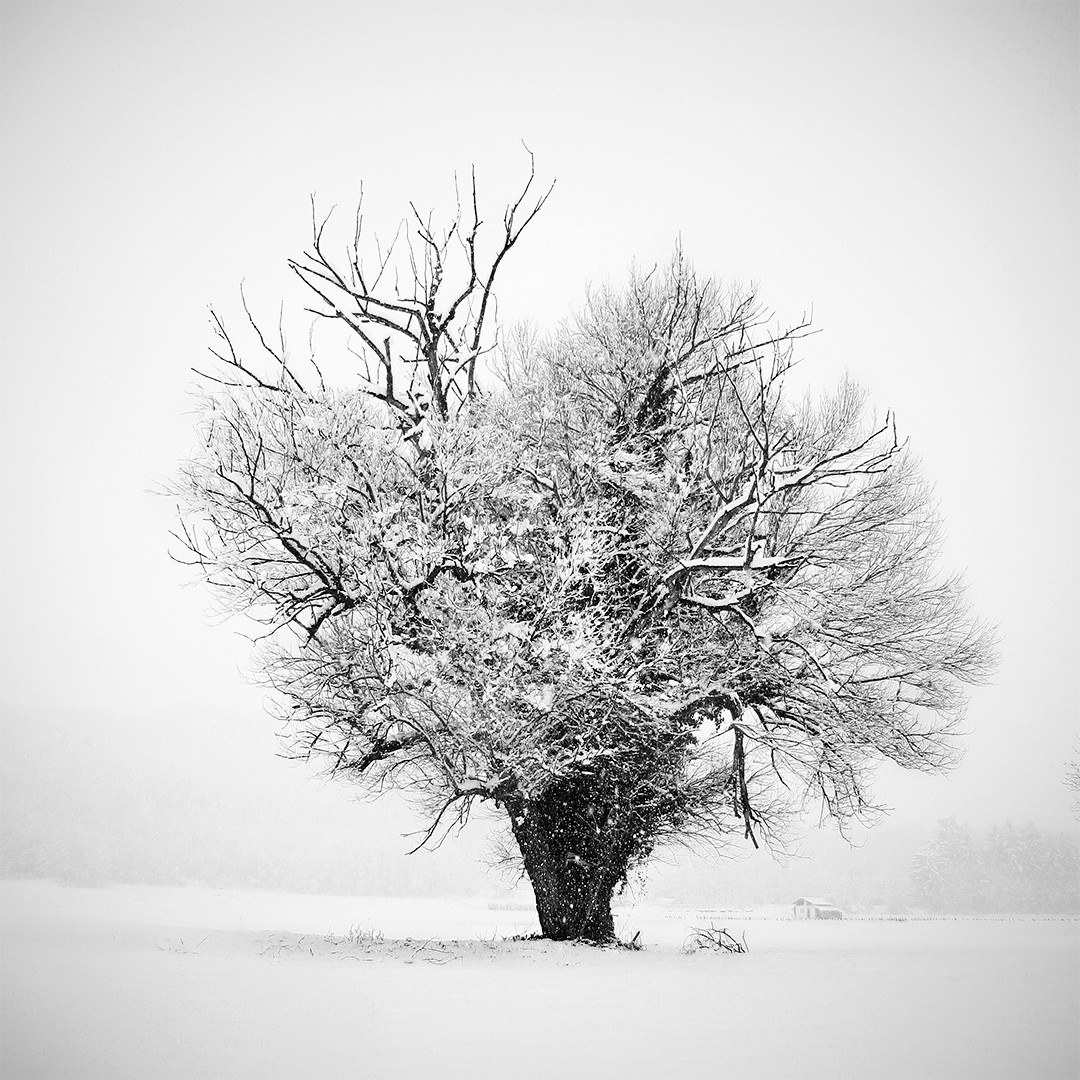 Black And White Landscape Photography By Alberto Bresciani (6)