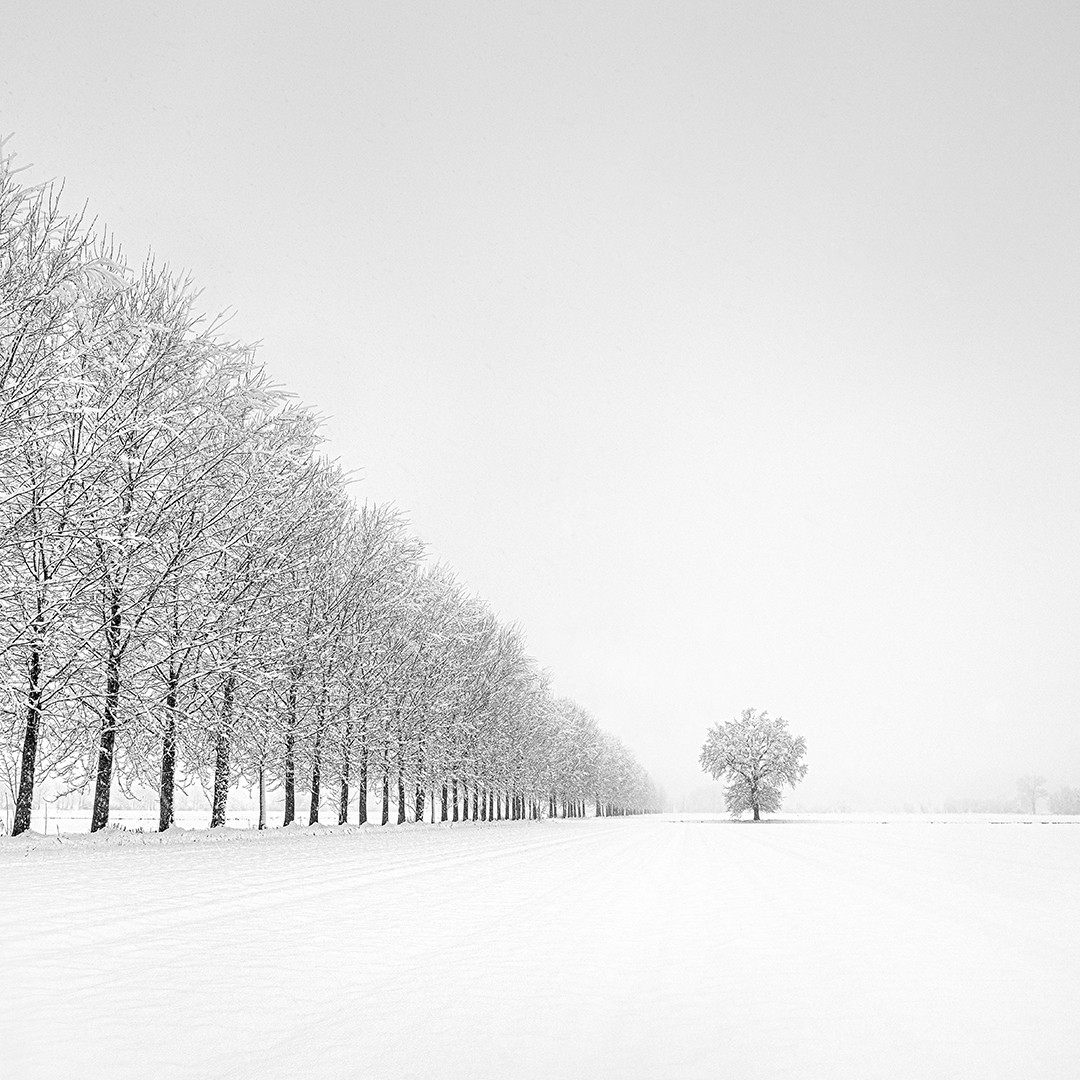 Black And White Landscape Photography By Alberto Bresciani (7)