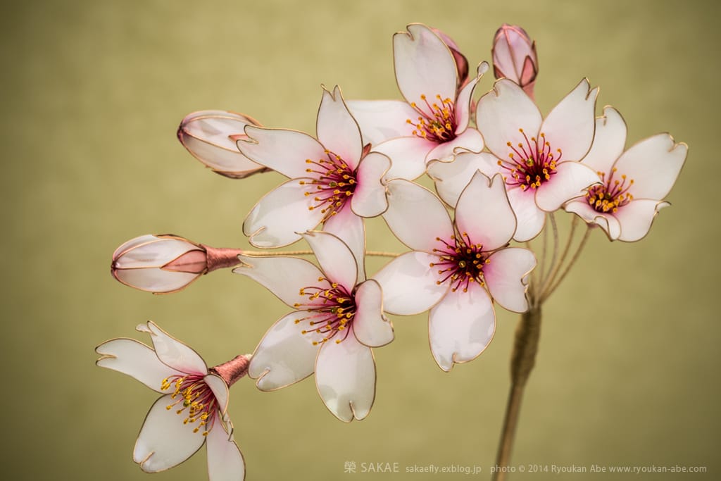 Sakae's Floral Crowns (2)