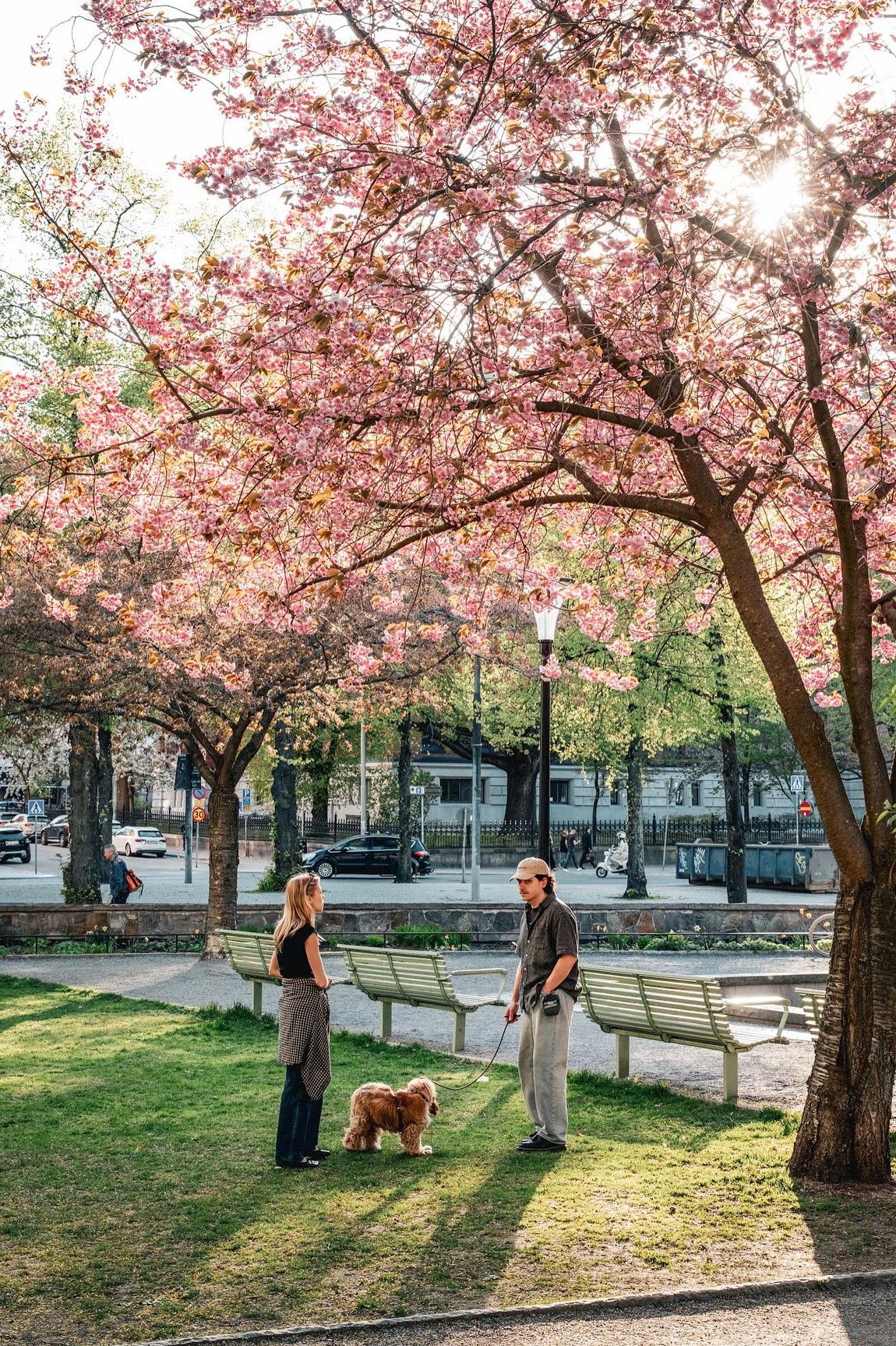 Stockholm's Street Photography By Samsul Alam Al Majidi (12)