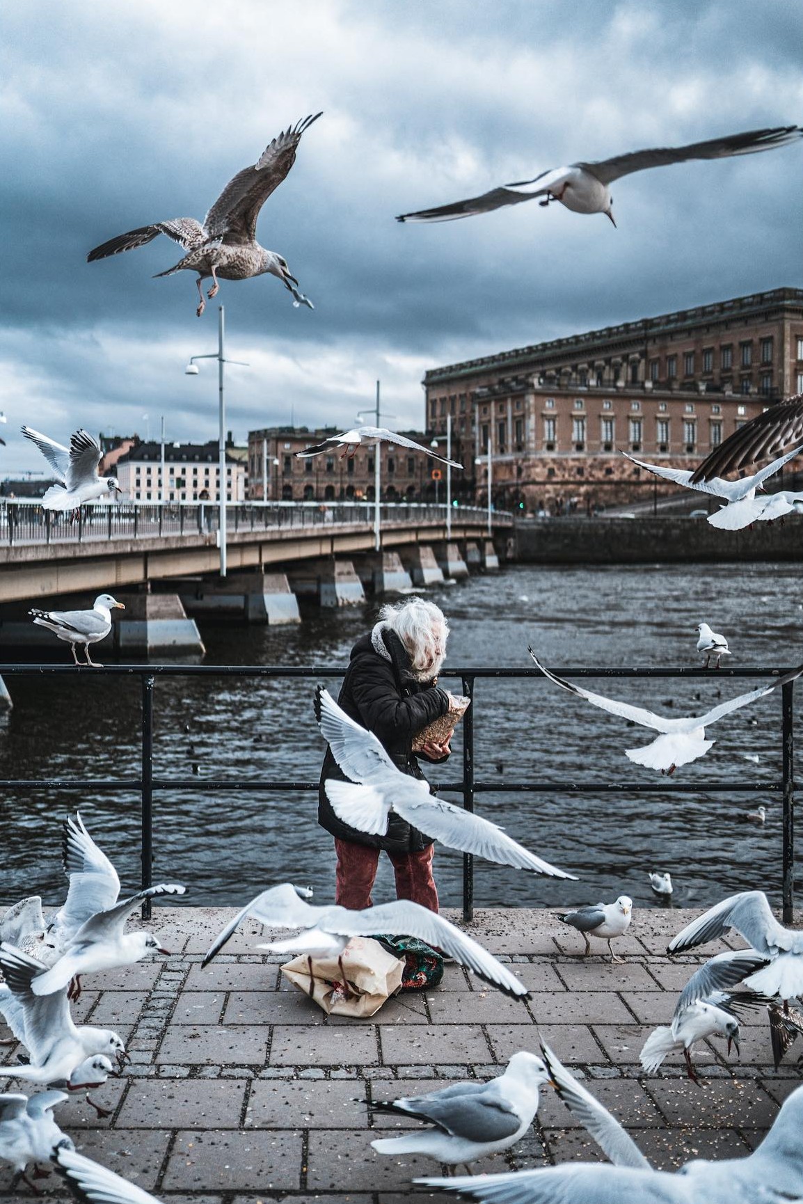 Stockholm's Street Photography By Samsul Alam Al Majidi (9)