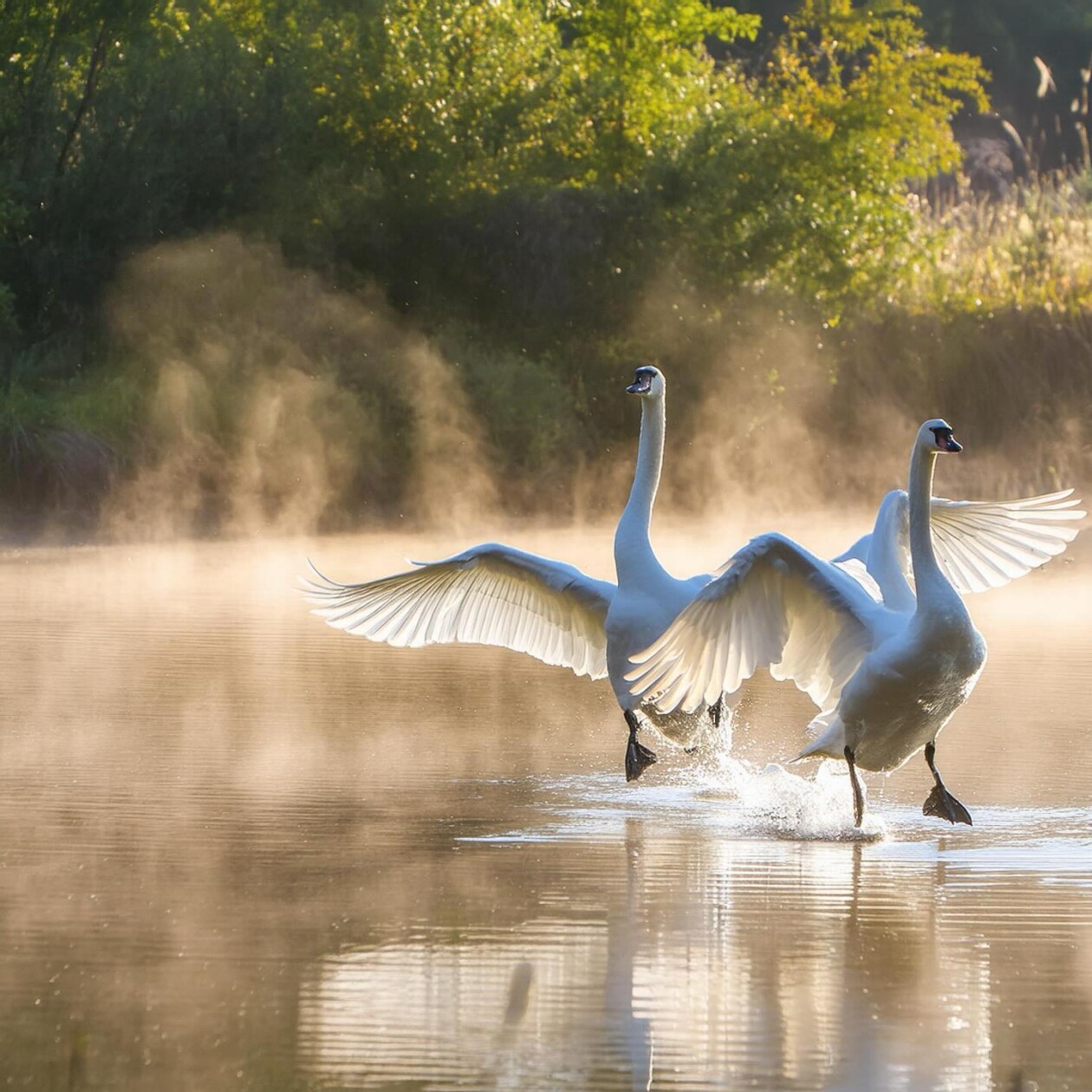 The Breathtaking Nature Photography Of Michal Janda (18)