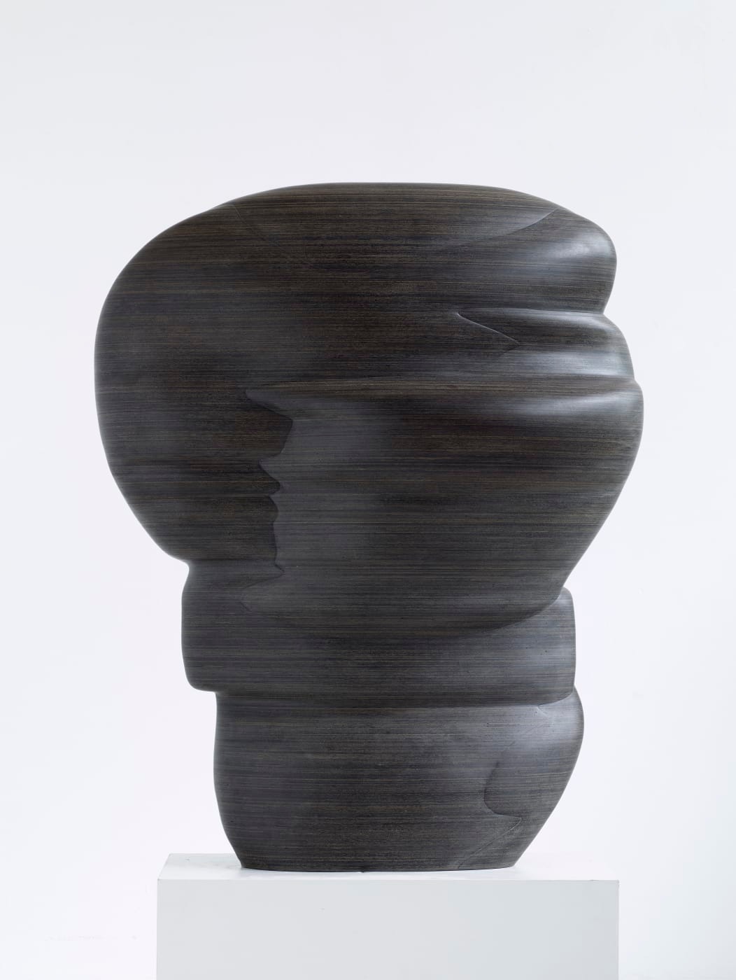 Tony Cragg's Abstract Sculptures (3)