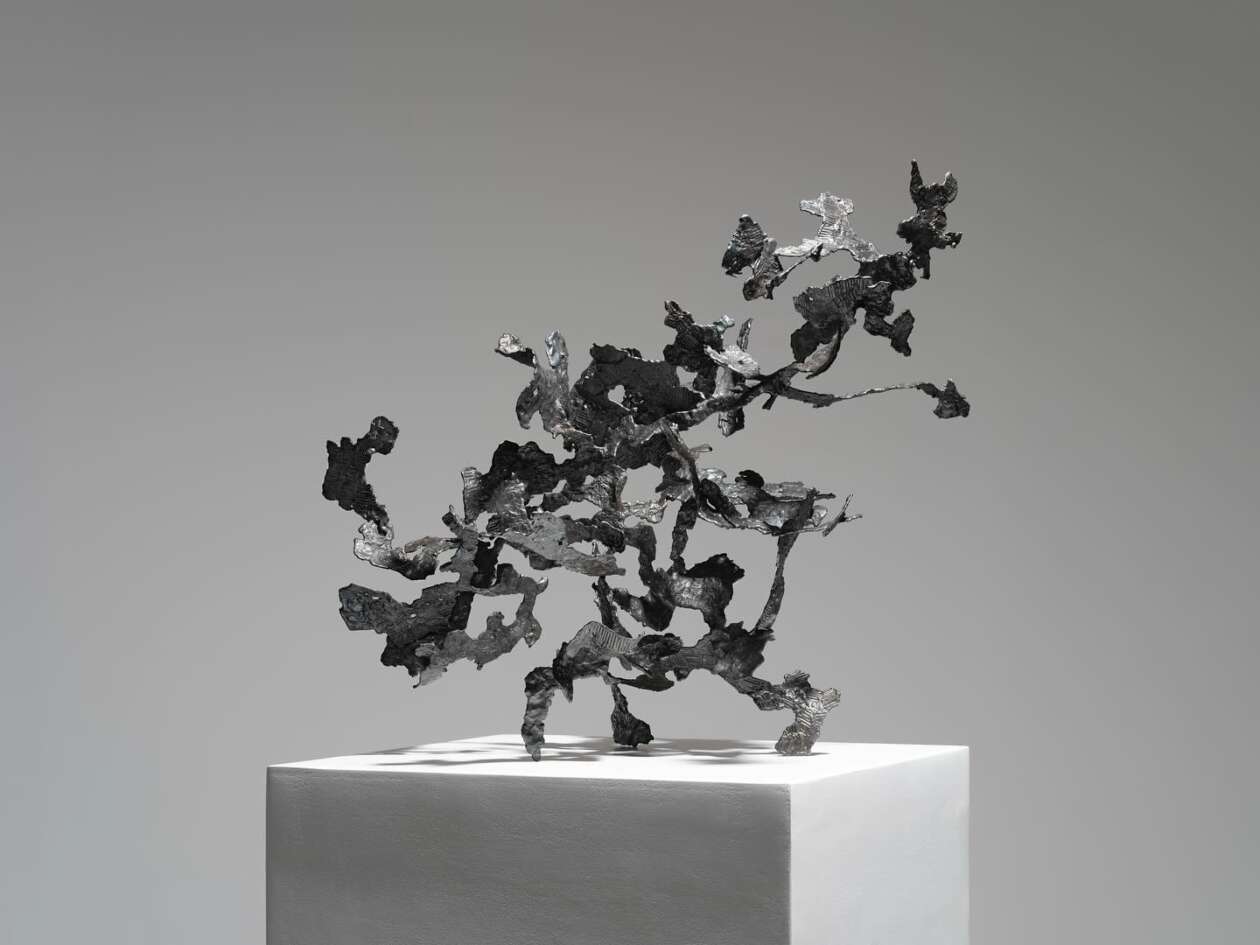 John Pai's Airy Steel Sculptures (2)