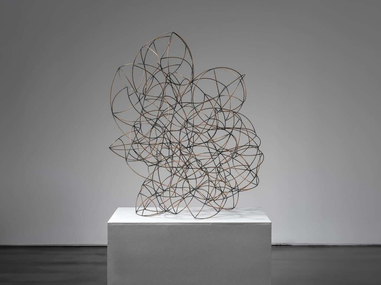 John Pai's Airy Steel Sculptures (4)