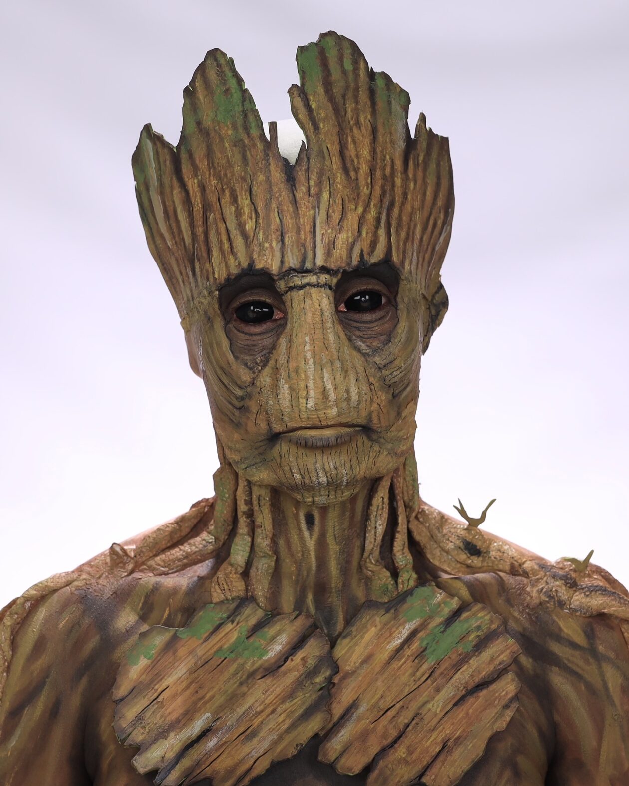 Annie Thomas’s Makeup Transformations (18)