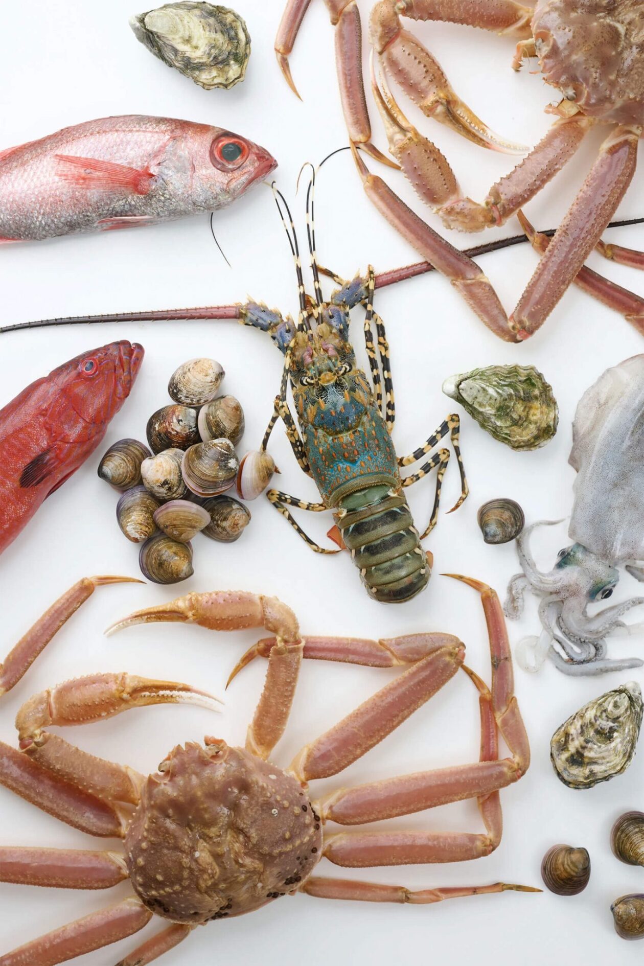 Ben Chen's Elegant Culinary Photography (7)