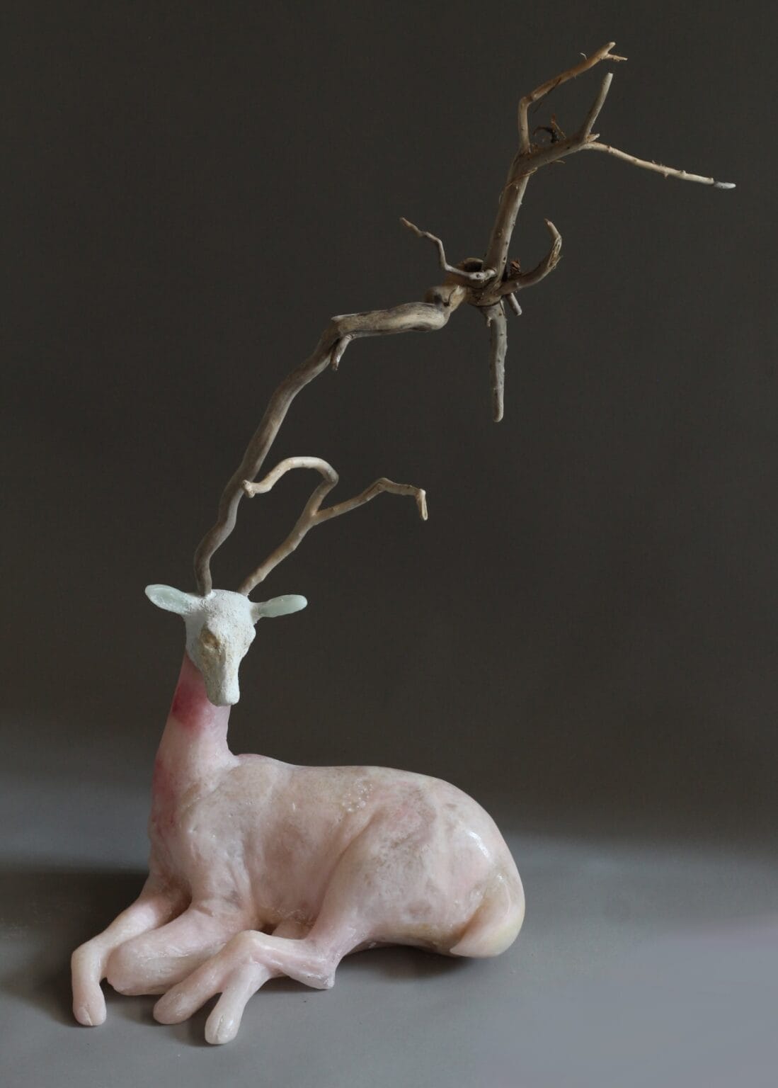Christina Bothwell's Screen Memories (6)