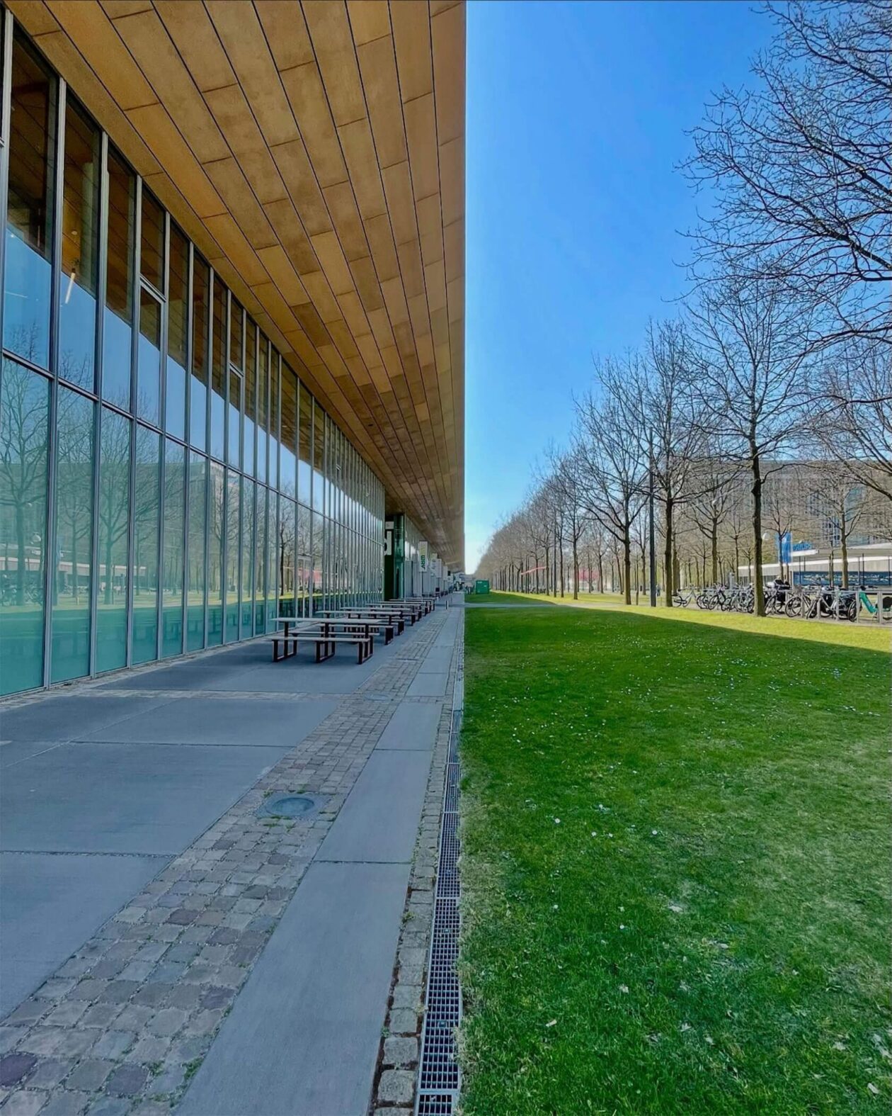 Rob Hoeijmakers’s Split View Photography (2)