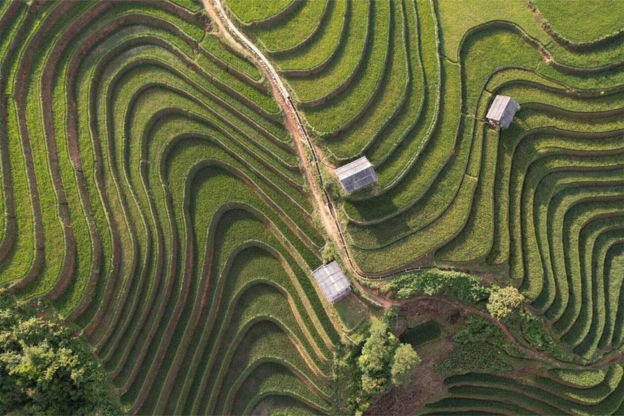 Captivating Photos Of Vietnam By Julian Elliott (7)