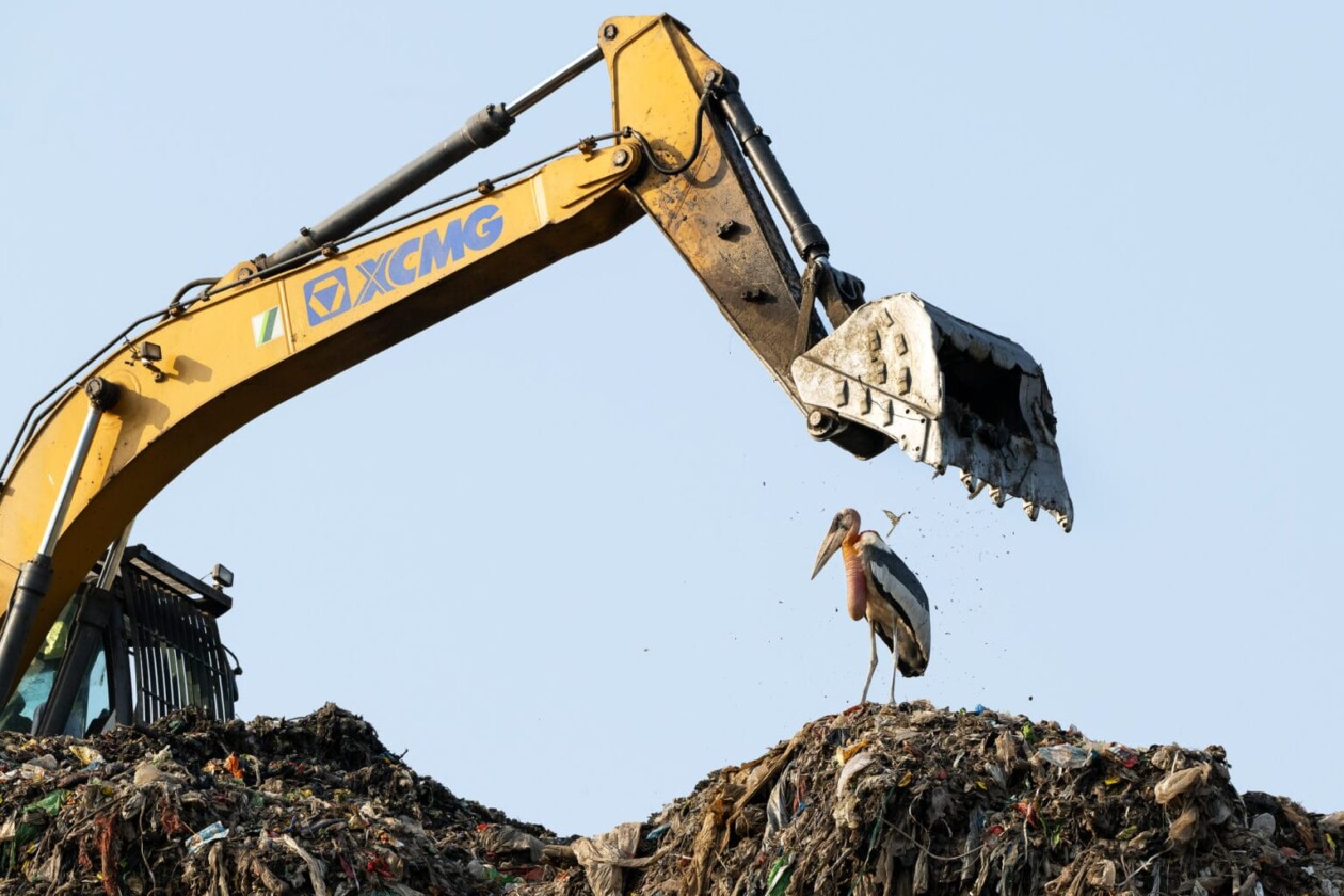 2025 Bird Photographer Of The Year (8)