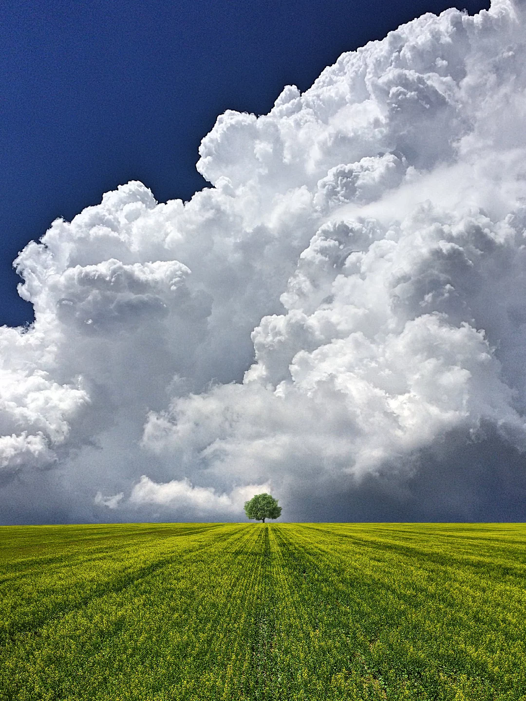 Benjamin Wolf's Minimalist Creative Photography (10)