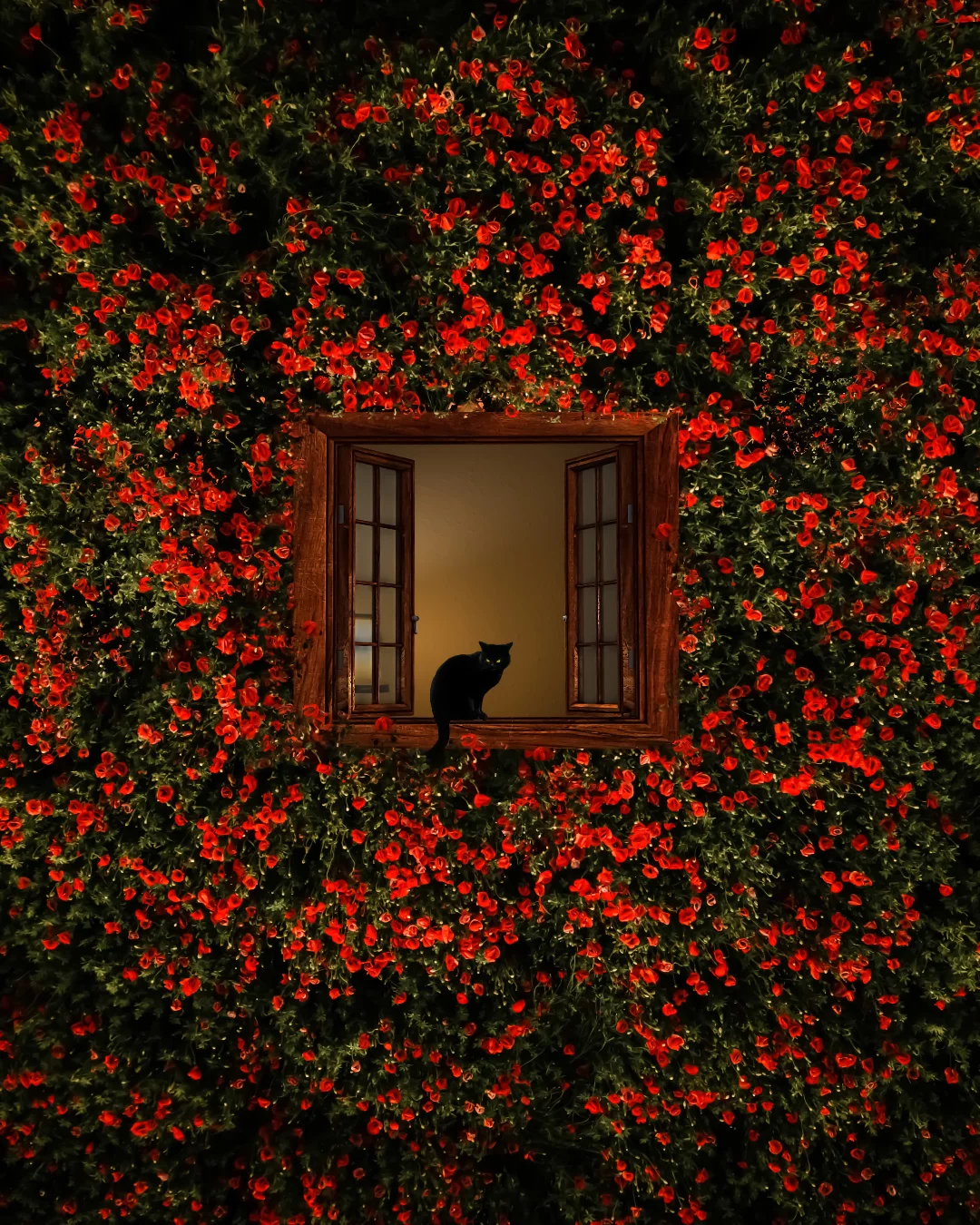 Benjamin Wolf's Minimalist Creative Photography (2)