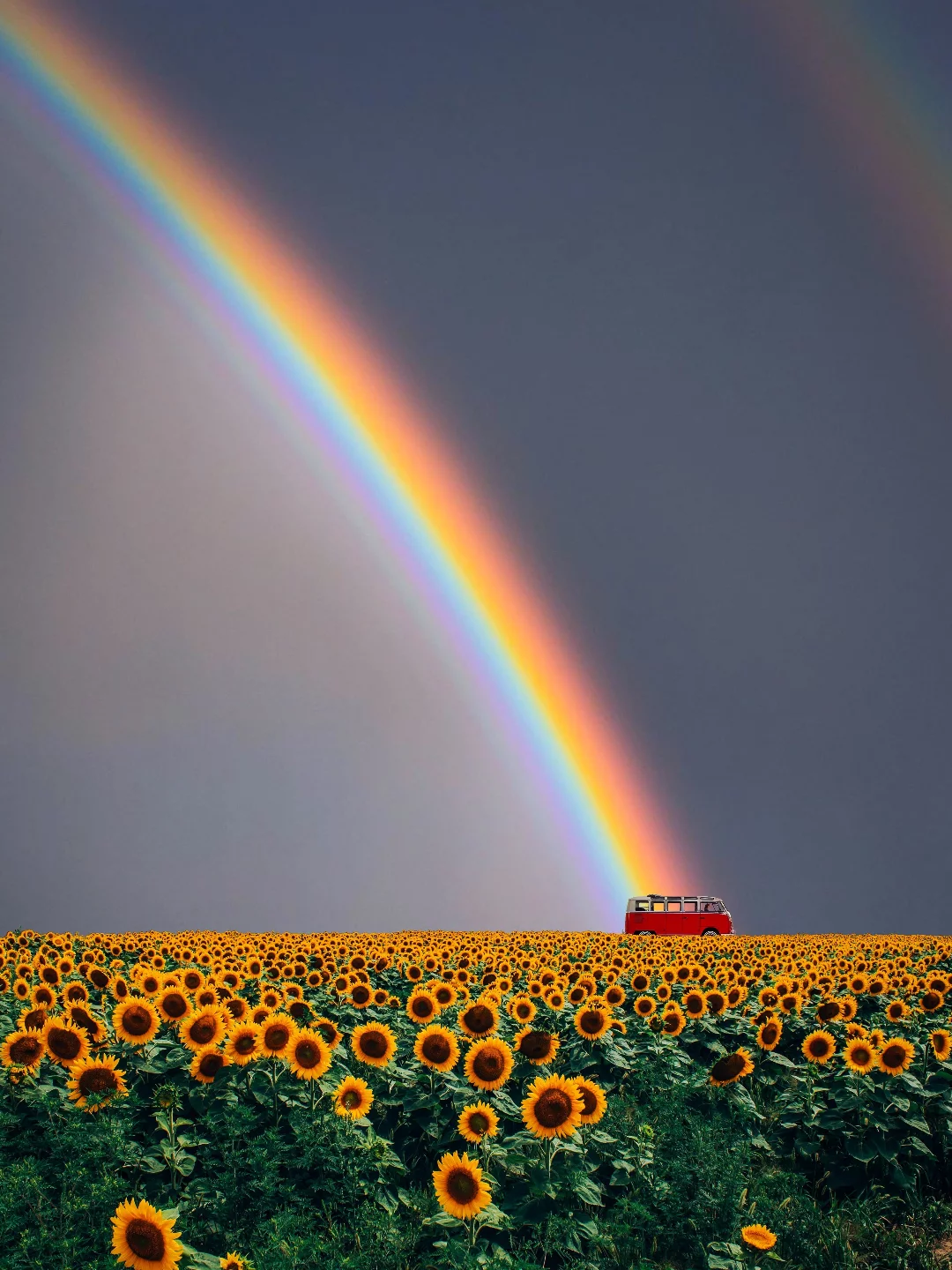 Benjamin Wolf's Minimalist Creative Photography (7)