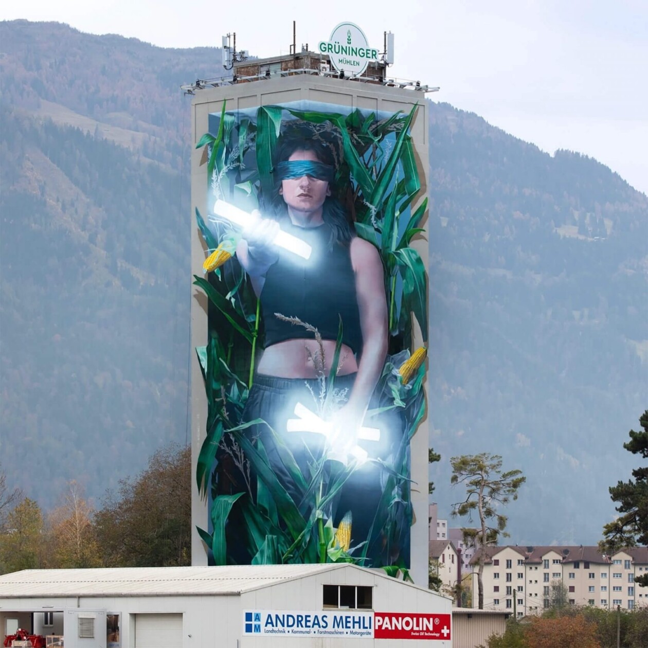 Fabian Bane Florin's Hyper Realistic Three Dimensional Murals (8)