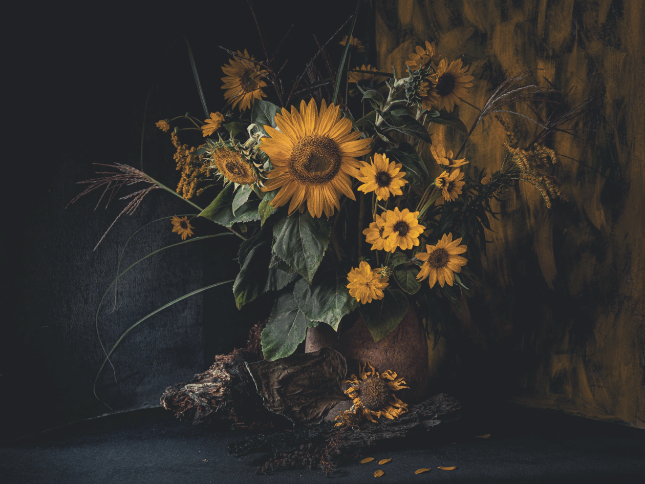 Katarzyna Mrożewska’s Sunflower Still Life Series (1)