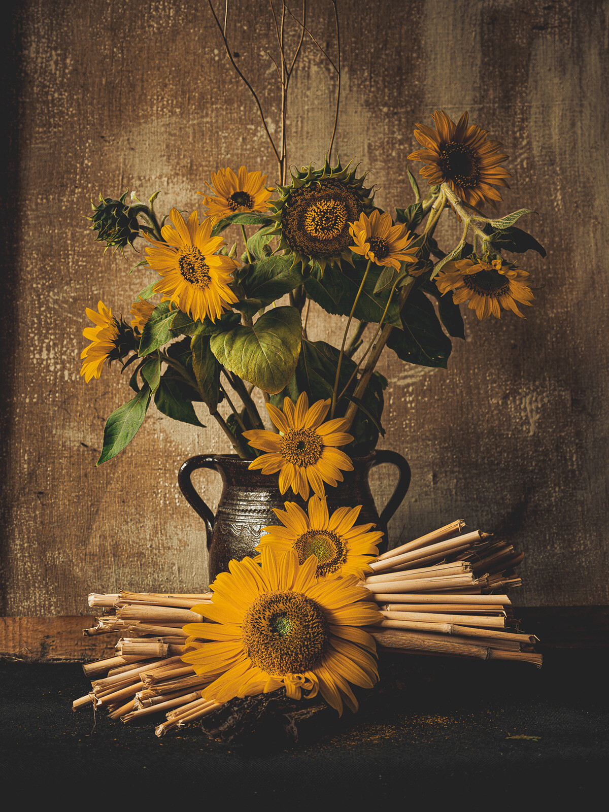 Katarzyna Mrożewska’s Sunflower Still Life Series (11)
