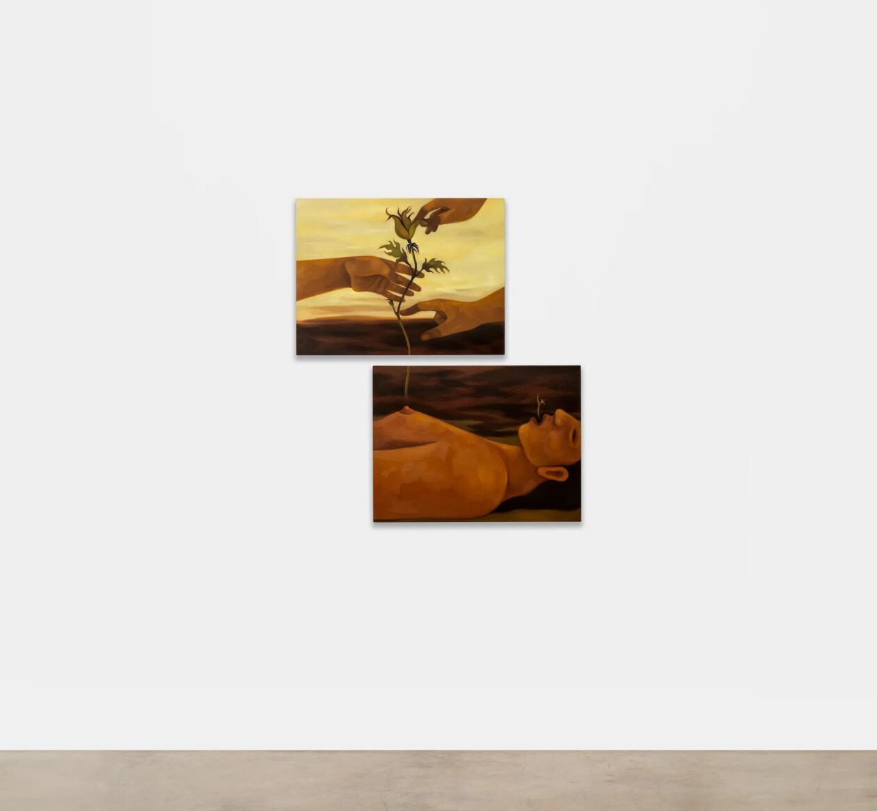 De Tierra Y Susurros Exhibition By Hilda Palafox (8)